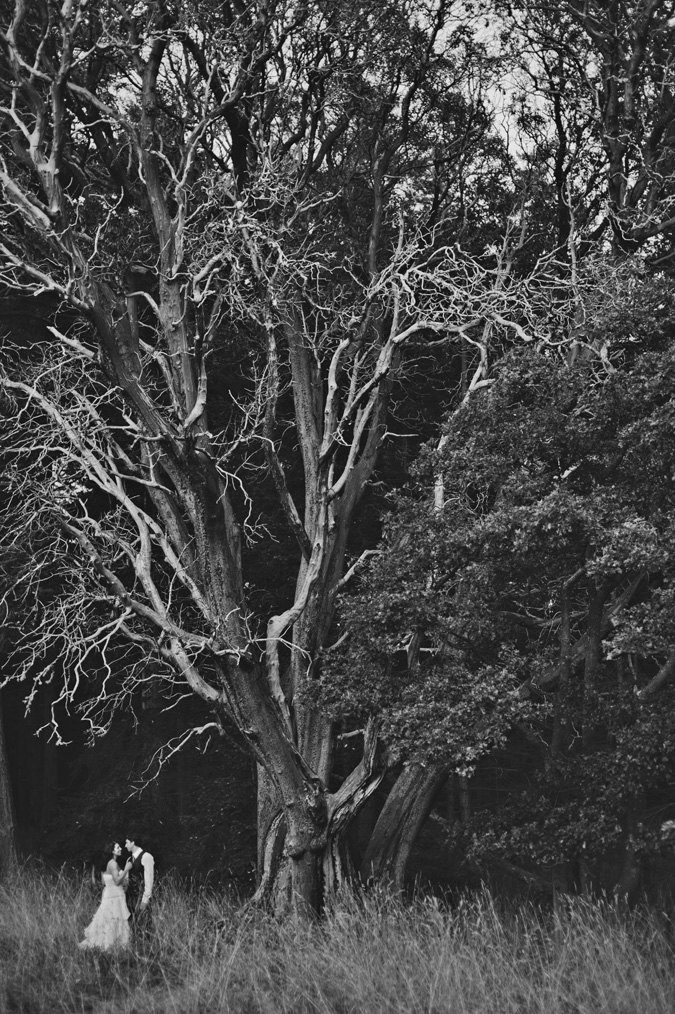 bride & groom under a huge arbutus tree on hornby island, bc