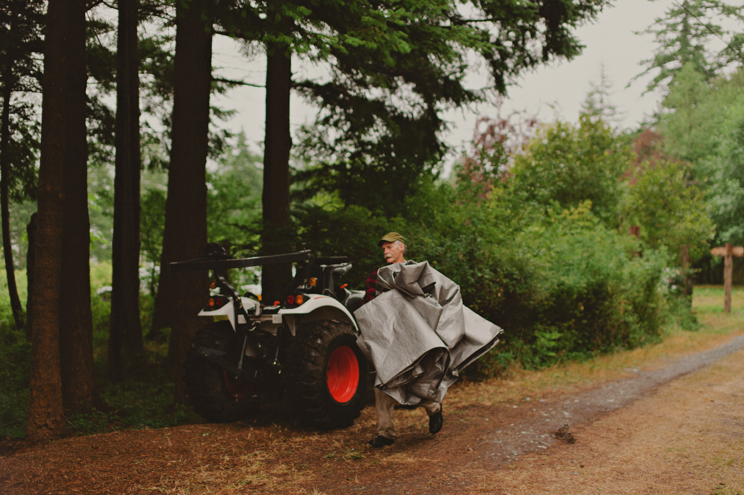 gulf- sland wedding photographer