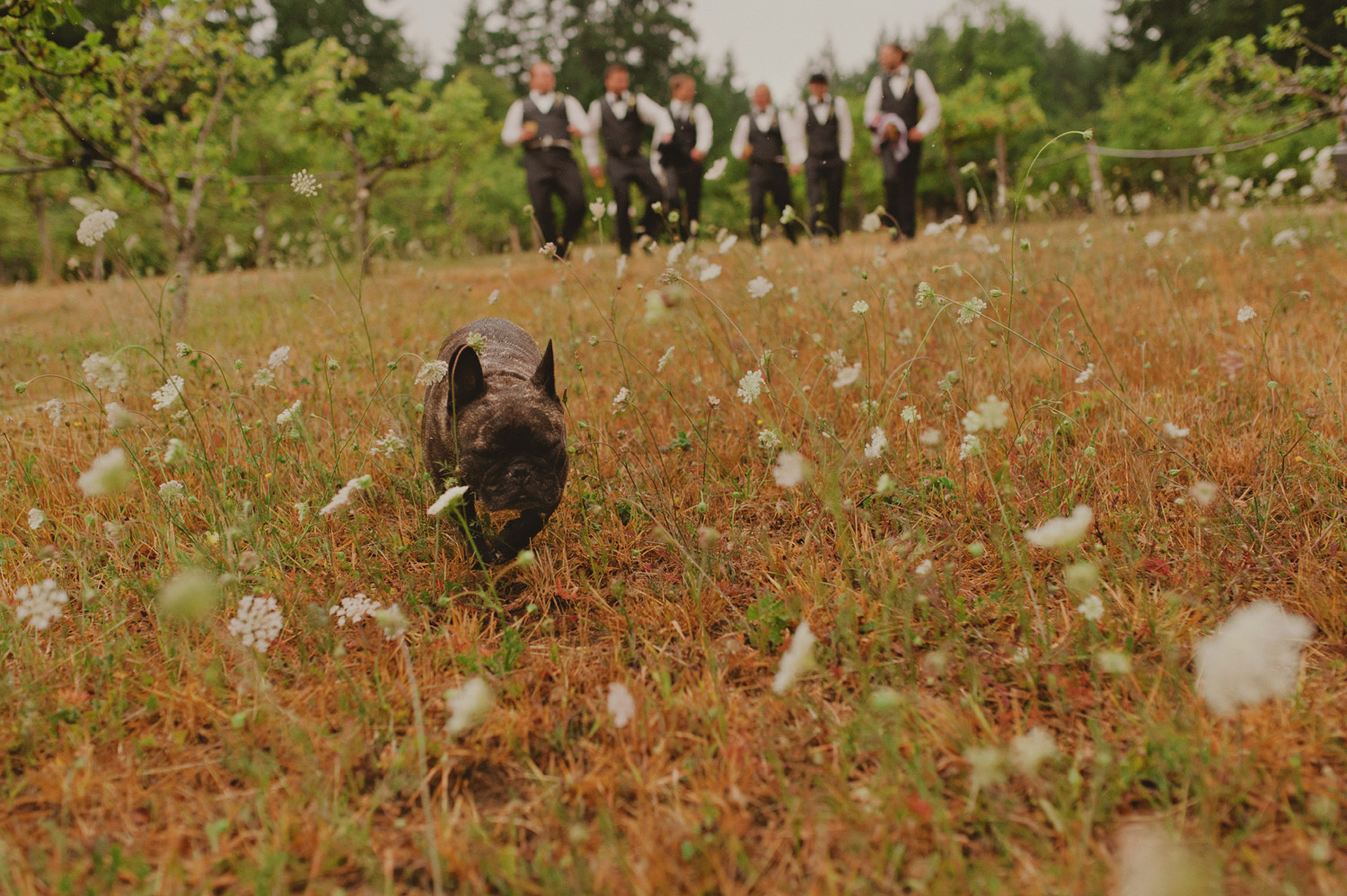 gulf- sland wedding photographer