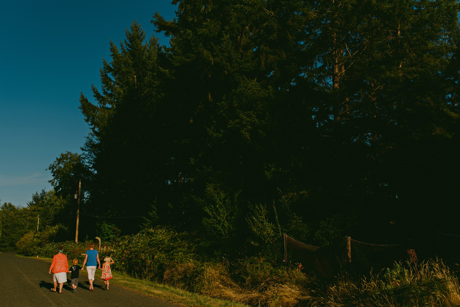 hornby island lifestyle family session (30)