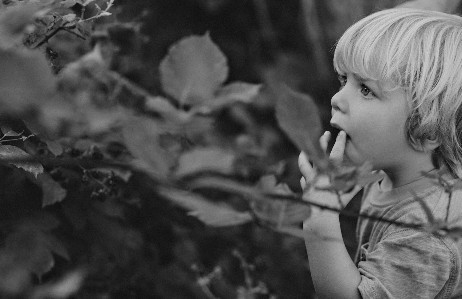 hornby island lifestyle family session (27)