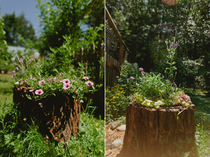 hornby island bc wedding