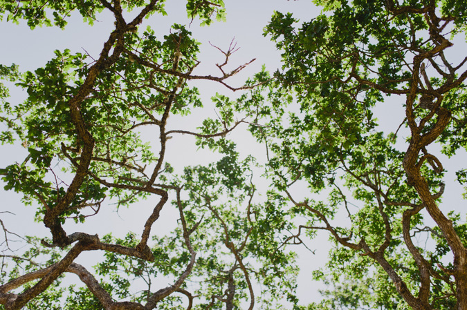 hornby island bc wedding