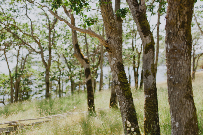 hornby island bc wedding