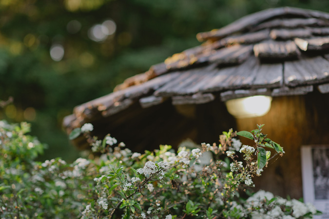 hornby island bc wedding