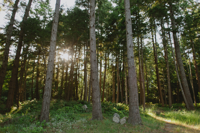 hornby island bc wedding