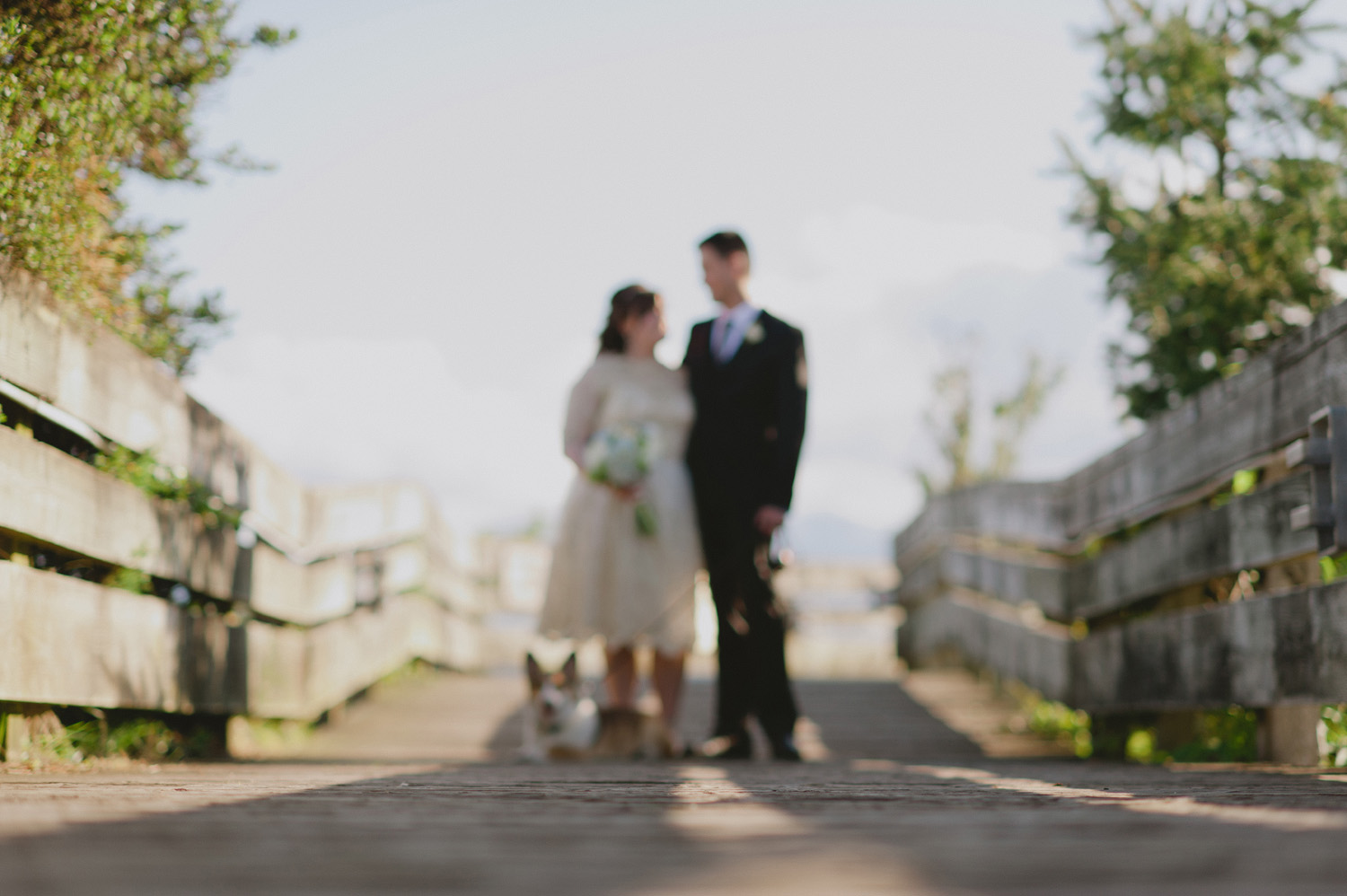 comox valley bc wedding photographer