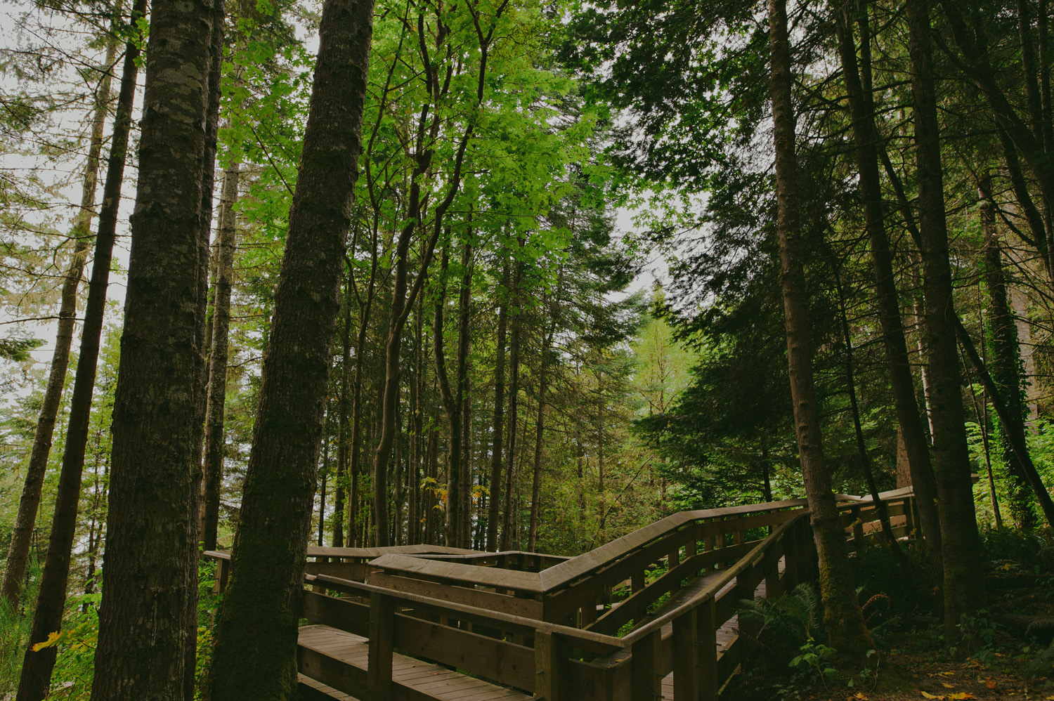 sooke bc prestige oceanfront resort wedding