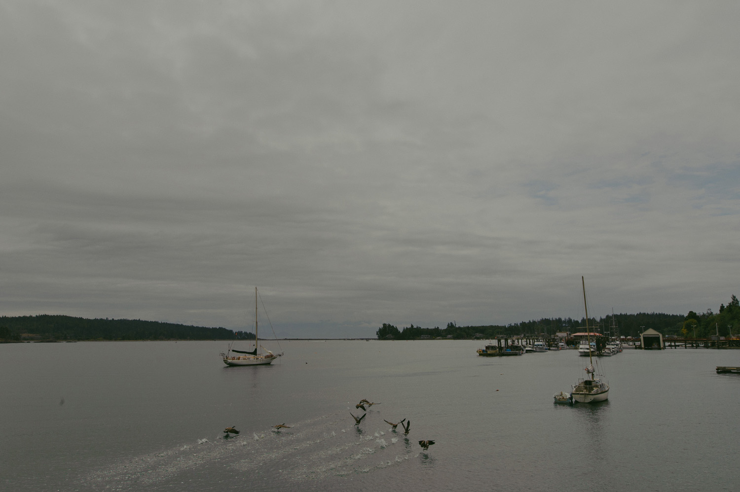 sooke bc prestige oceanfront resort wedding