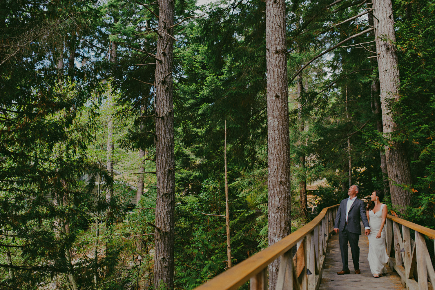 rockwater resort sunshine coast wedding