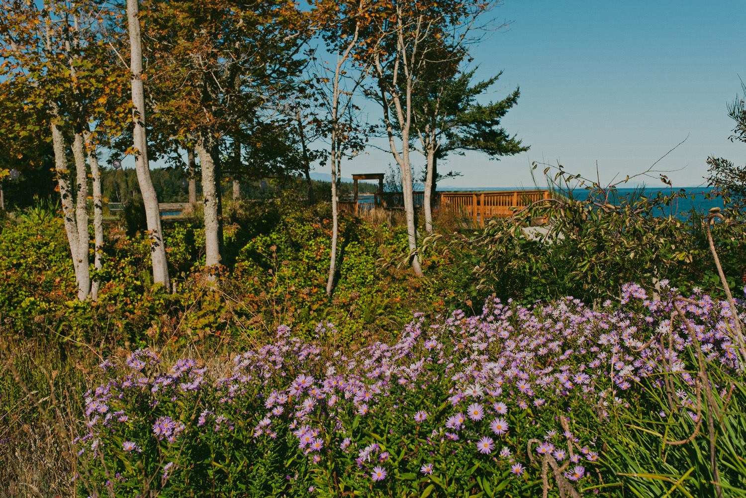 sea breeze lodge wedding