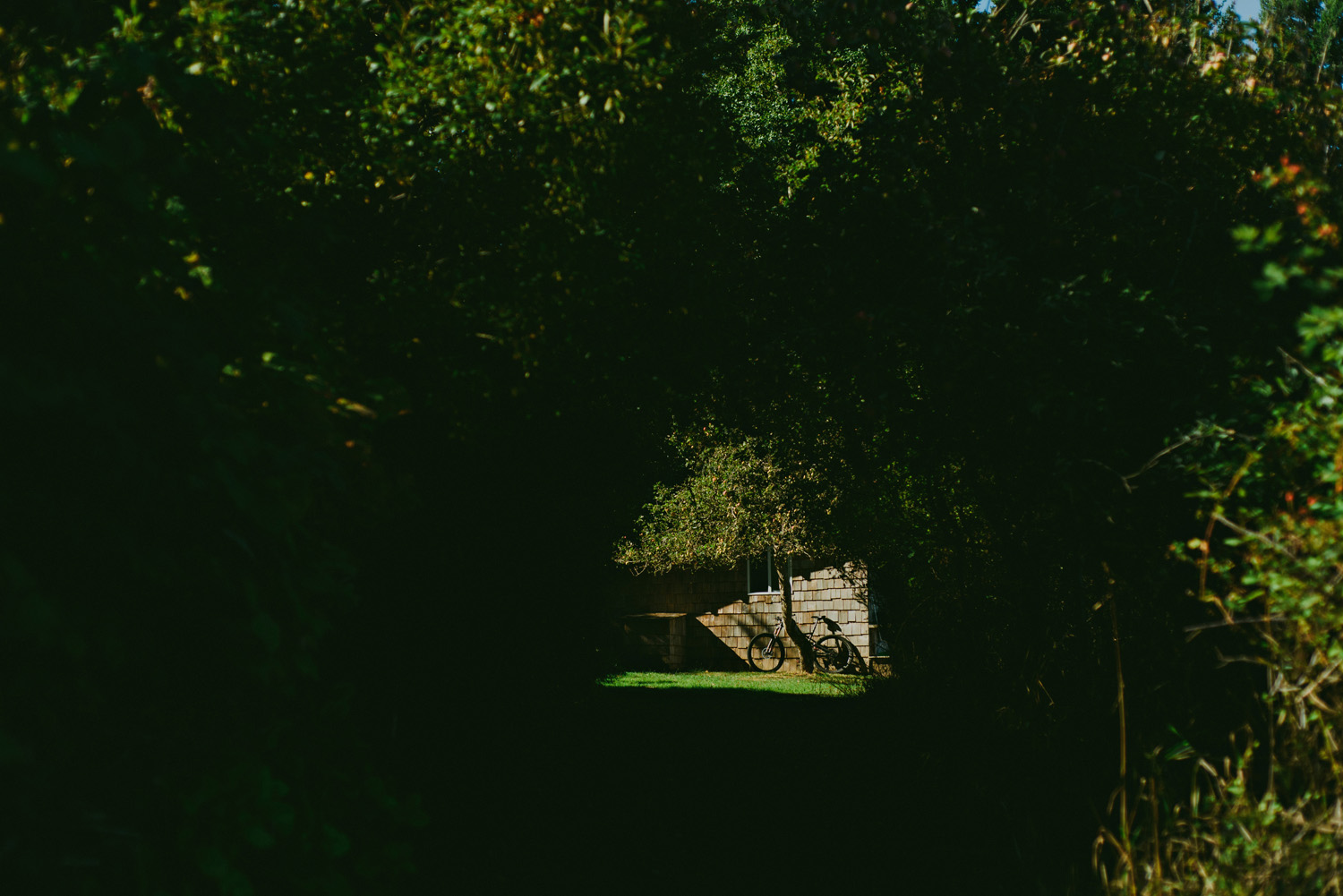 sea breeze lodge wedding