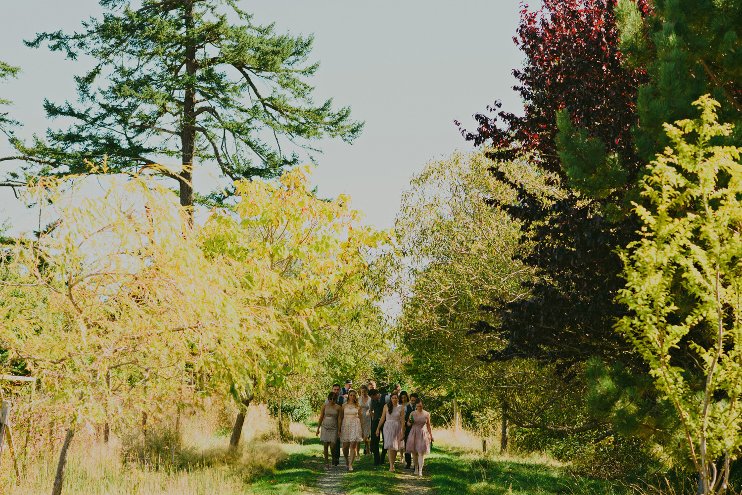 sea breeze lodge hornby island wedding