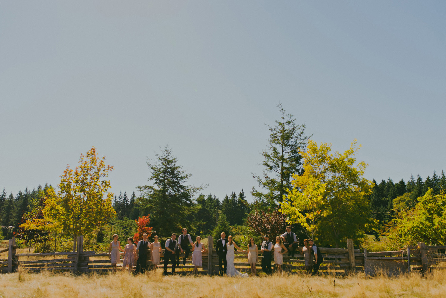 sea breeze lodge hornby island wedding