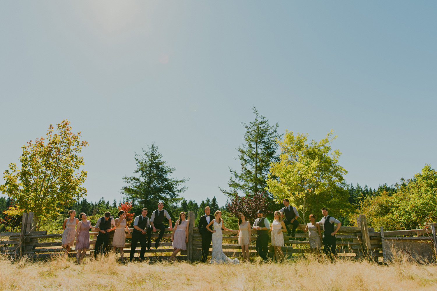 sea breeze lodge hornby island wedding