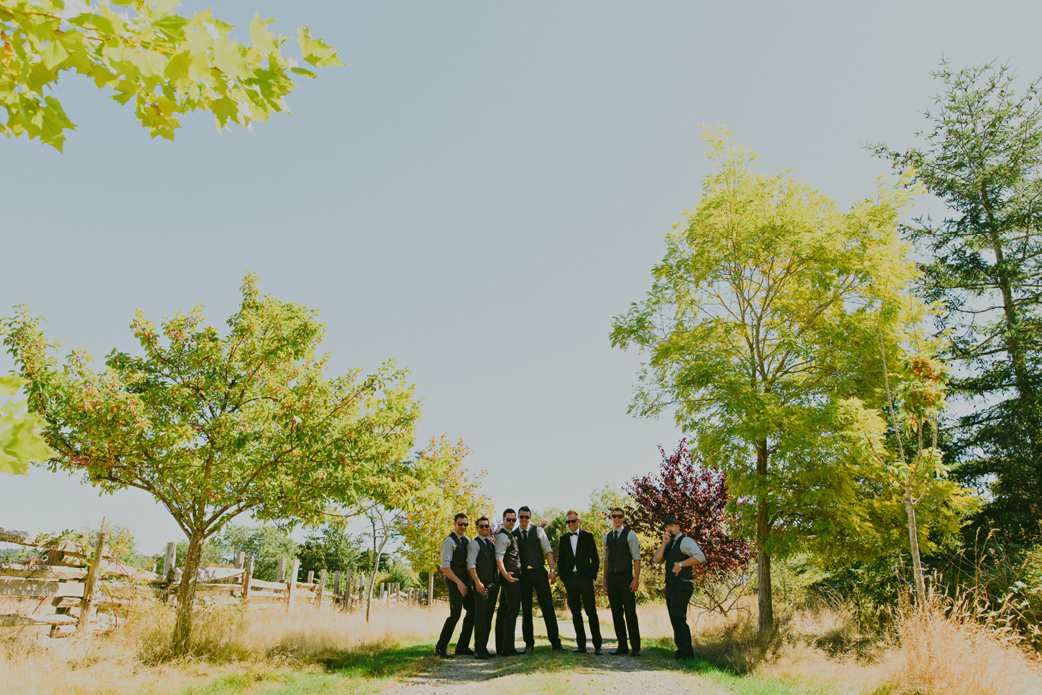 sea breeze lodge hornby island wedding