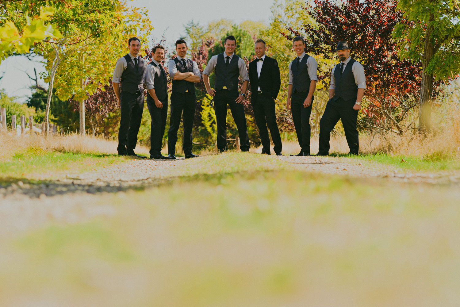 sea breeze lodge hornby island wedding