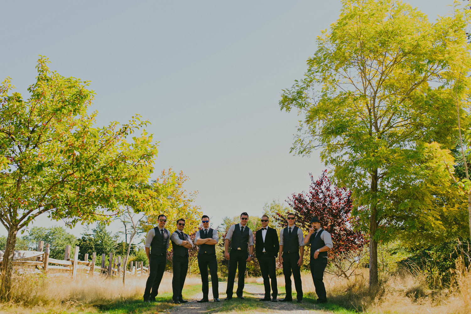 sea breeze lodge hornby island wedding