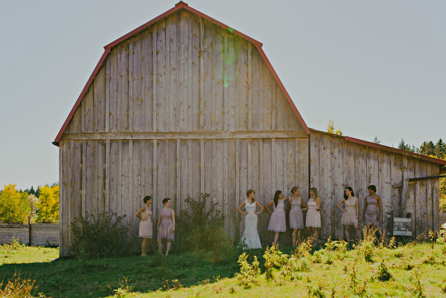 sea breeze lodge hornby island wedding