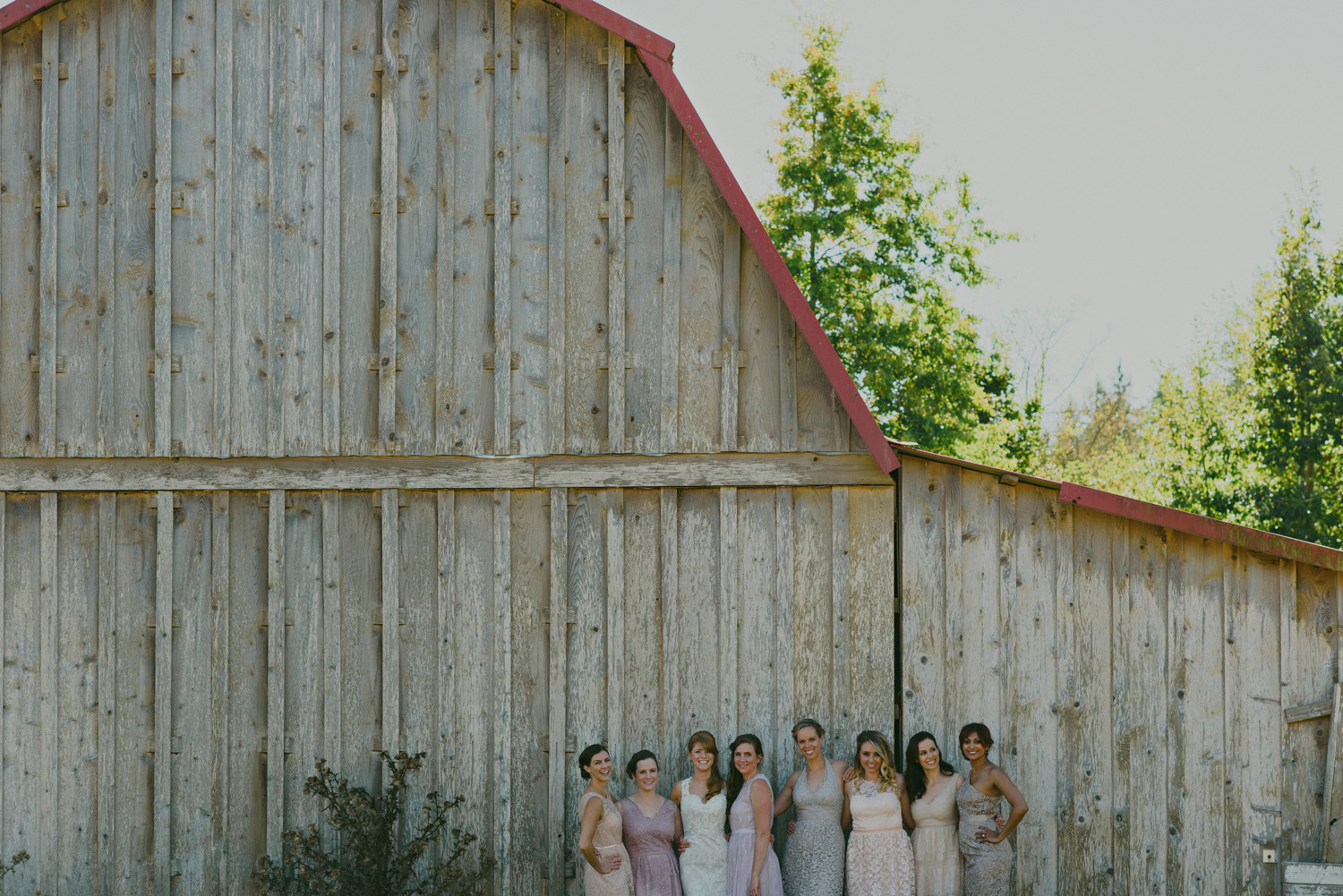 sea breeze lodge hornby island wedding