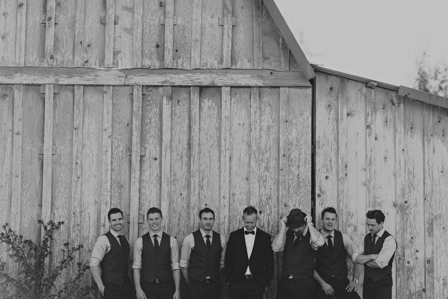 sea breeze lodge hornby island wedding