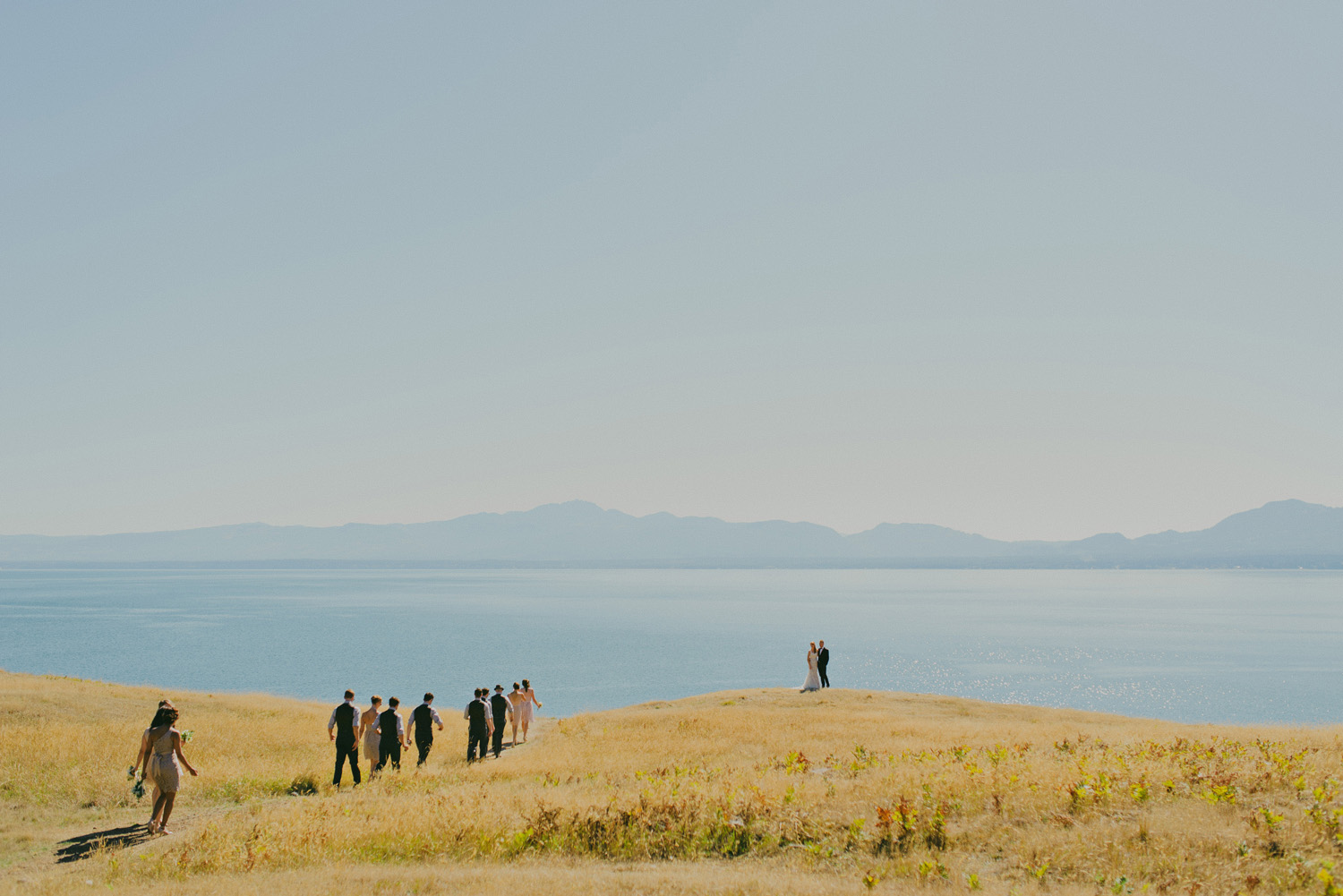 sea breeze lodge hornby island wedding