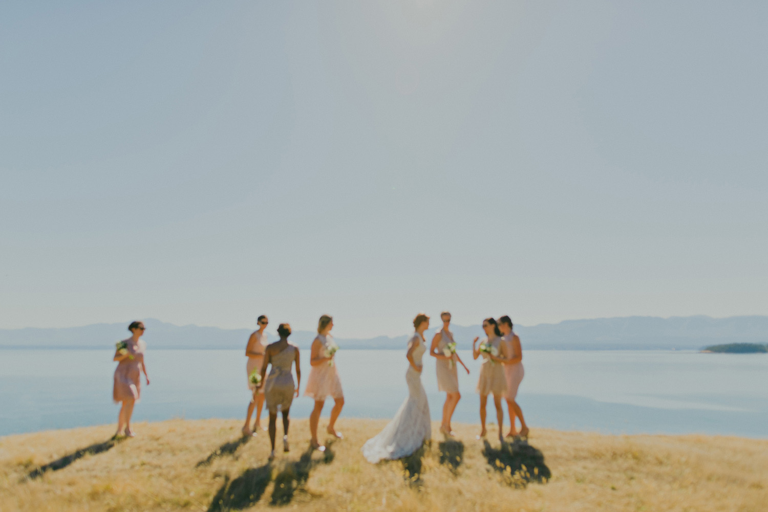 sea breeze lodge hornby island wedding