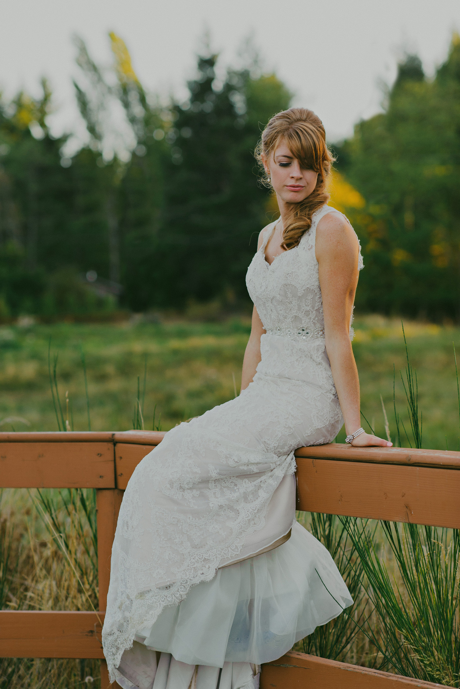 sea breeze lodge hornby island wedding