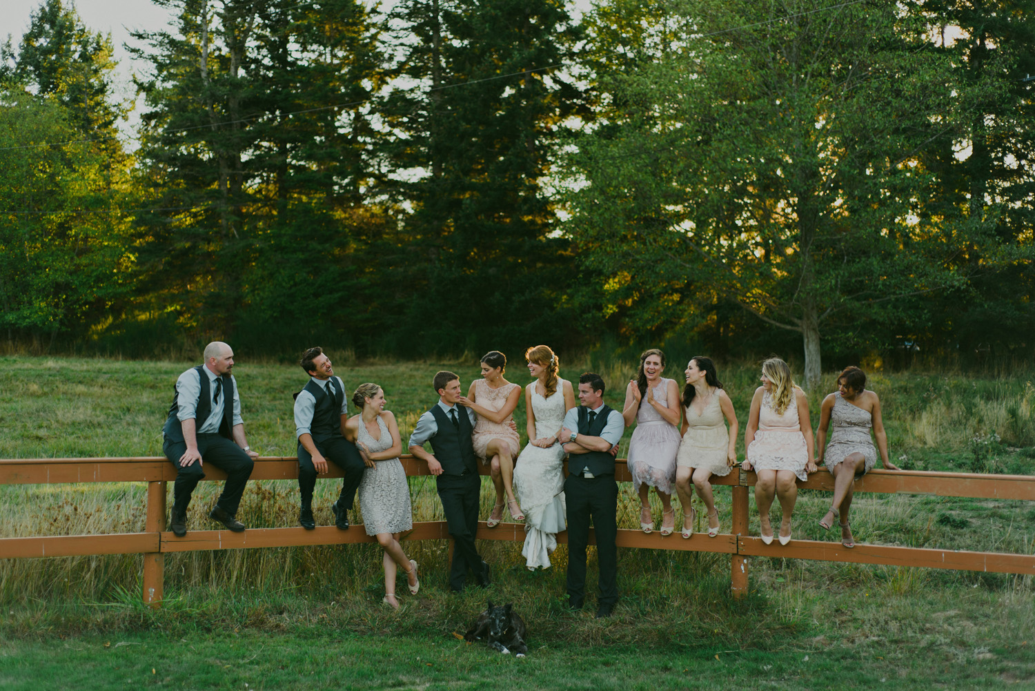 sea breeze lodge hornby island wedding