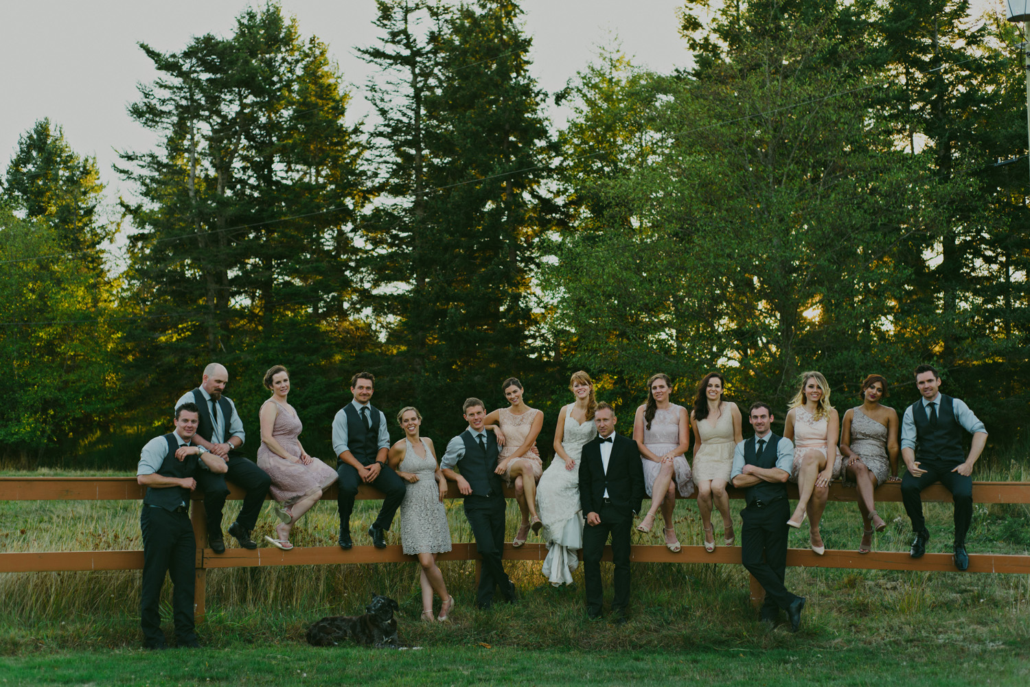 sea breeze lodge hornby island wedding