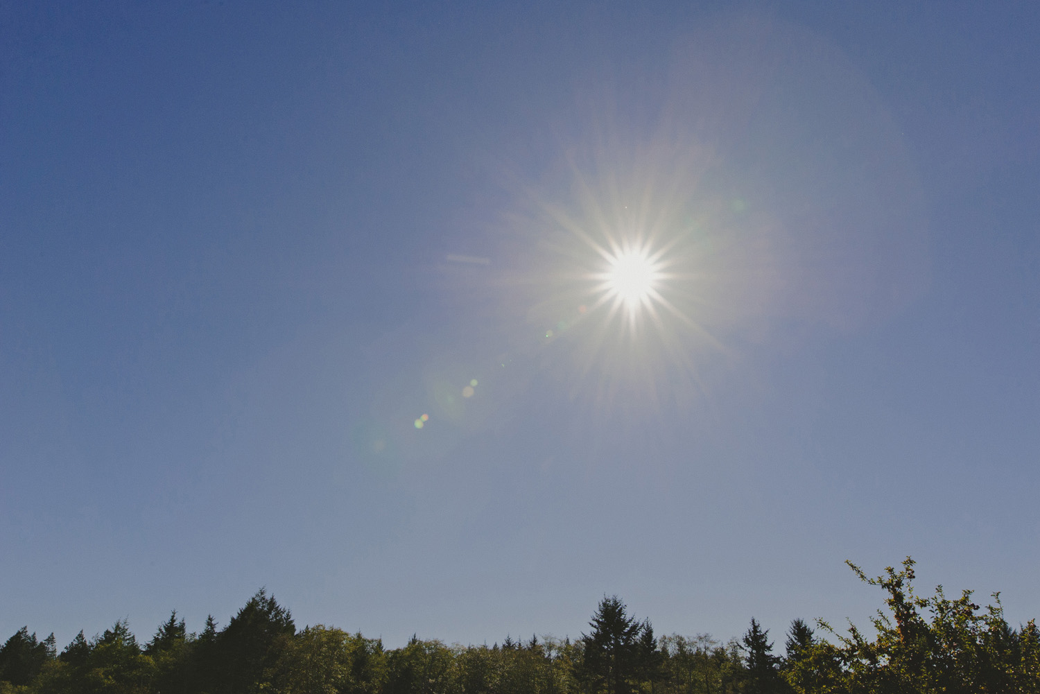 vancouver-island-documentary-wedding-photography-012