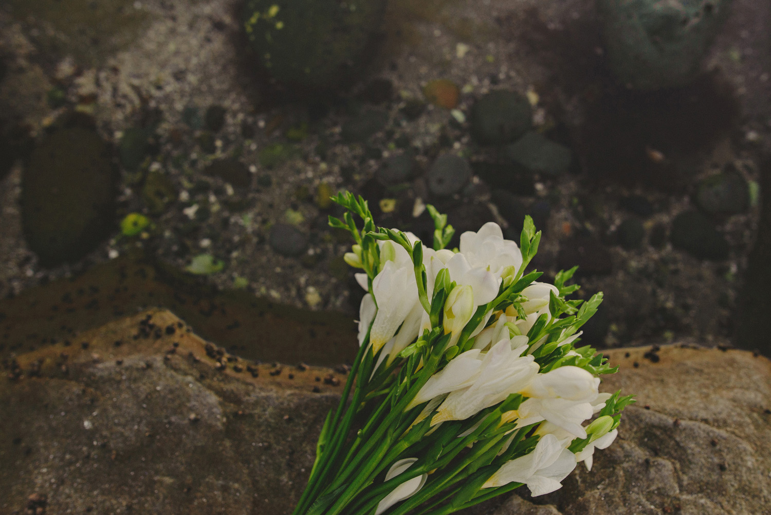 vancouver island documentary wedding photographer