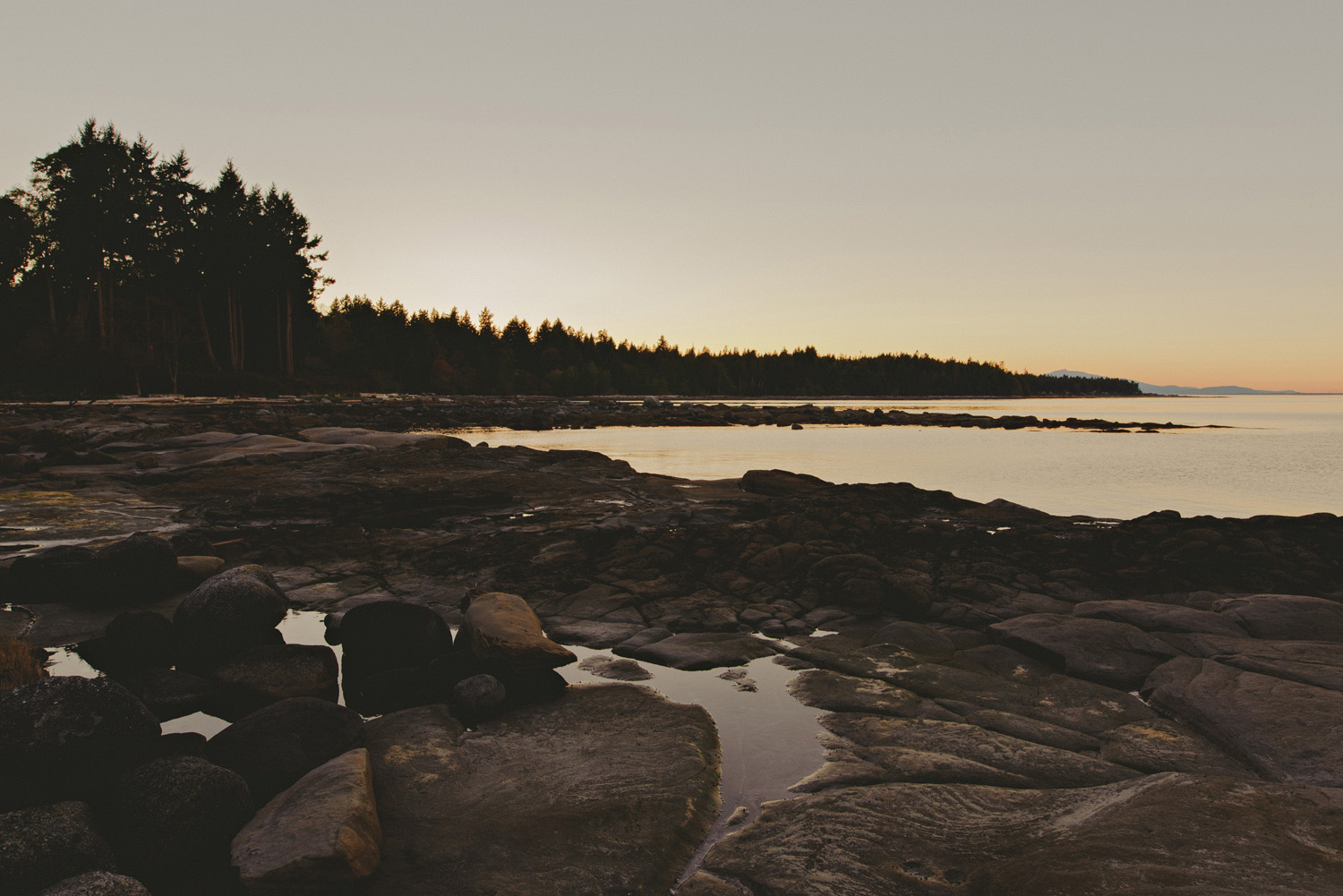 vancouver island documentary wedding photographer