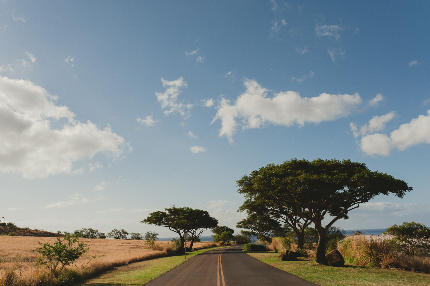 maui hawaii destination wedding