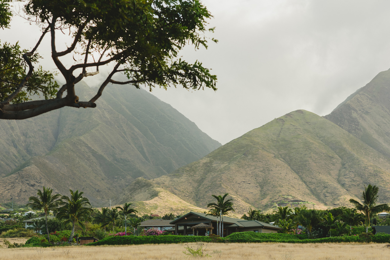 maui hawaii destination wedding