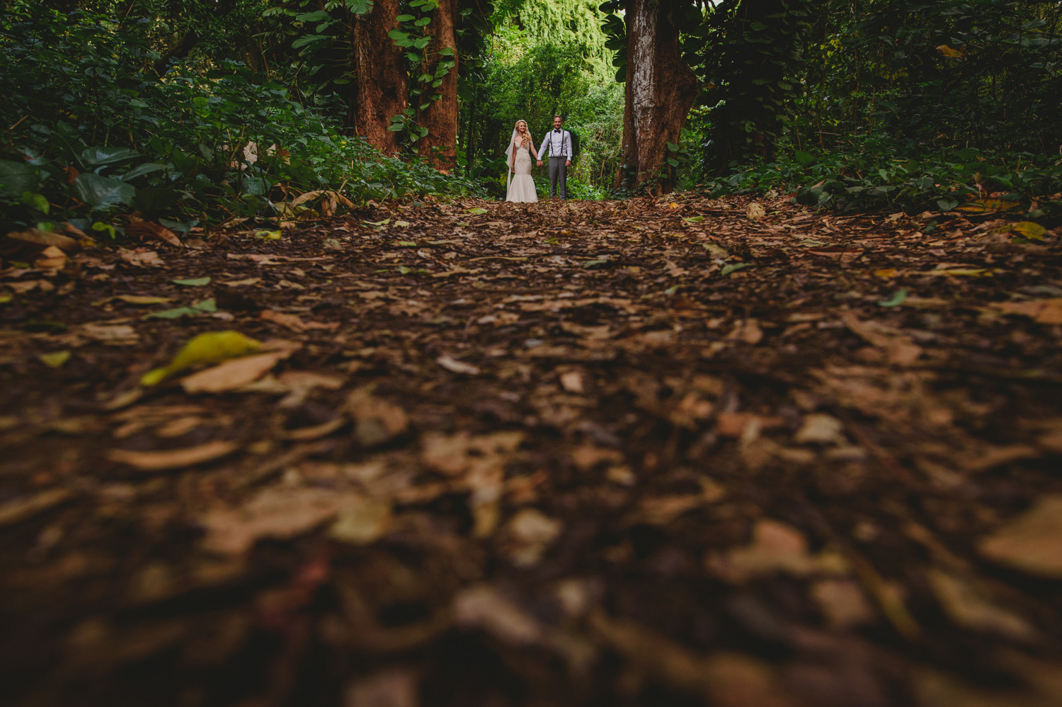 maui hawaii destination wedding