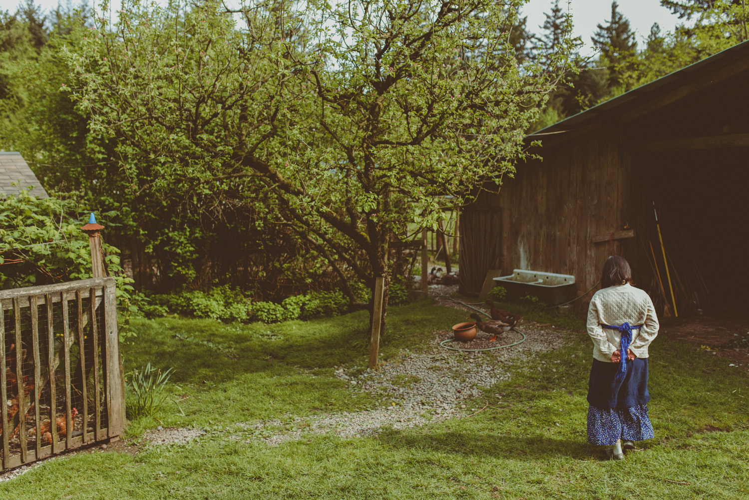 hornby island lifestyle maternity