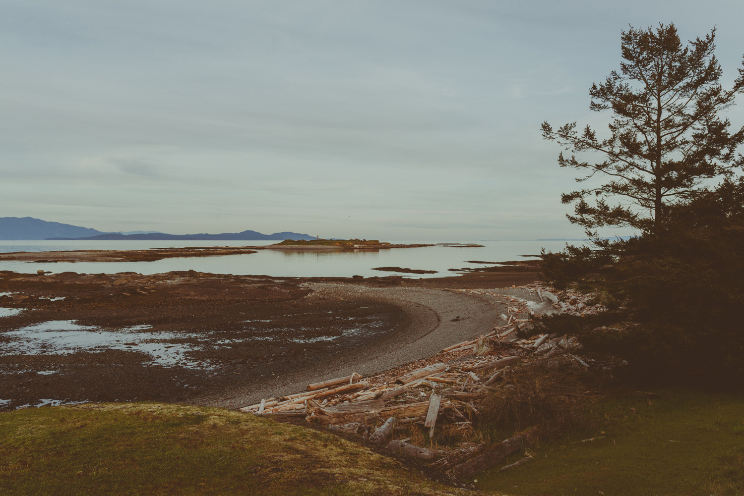 hornby island lifestyle maternity