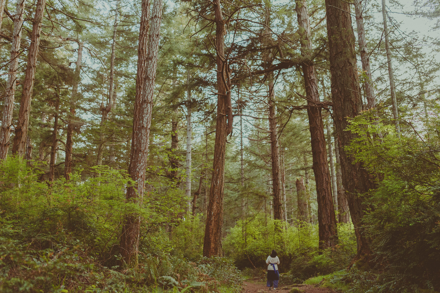 hornby island lifestyle maternity