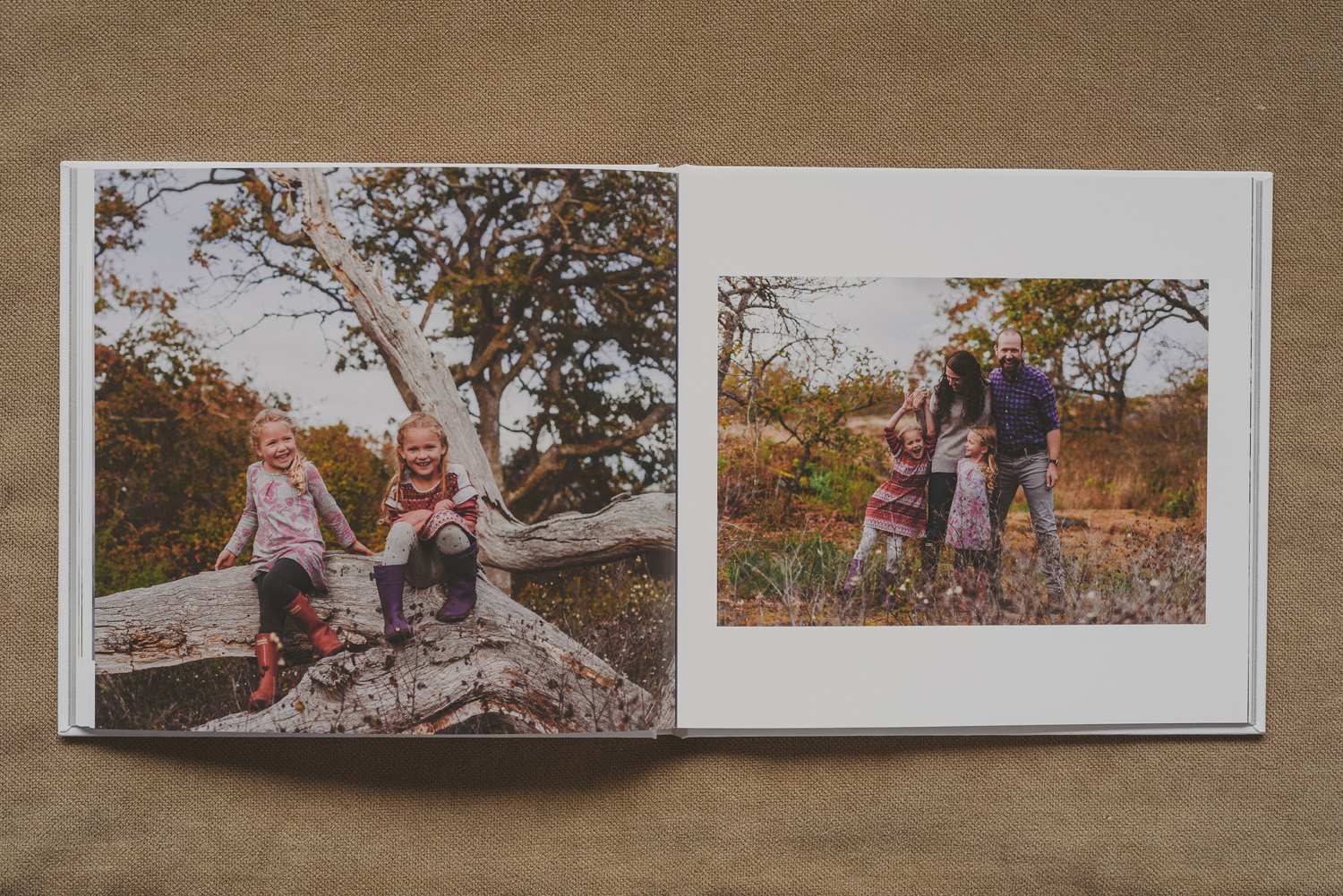 beautiful family photo book-group family photo in the tall grass & girls in a tree