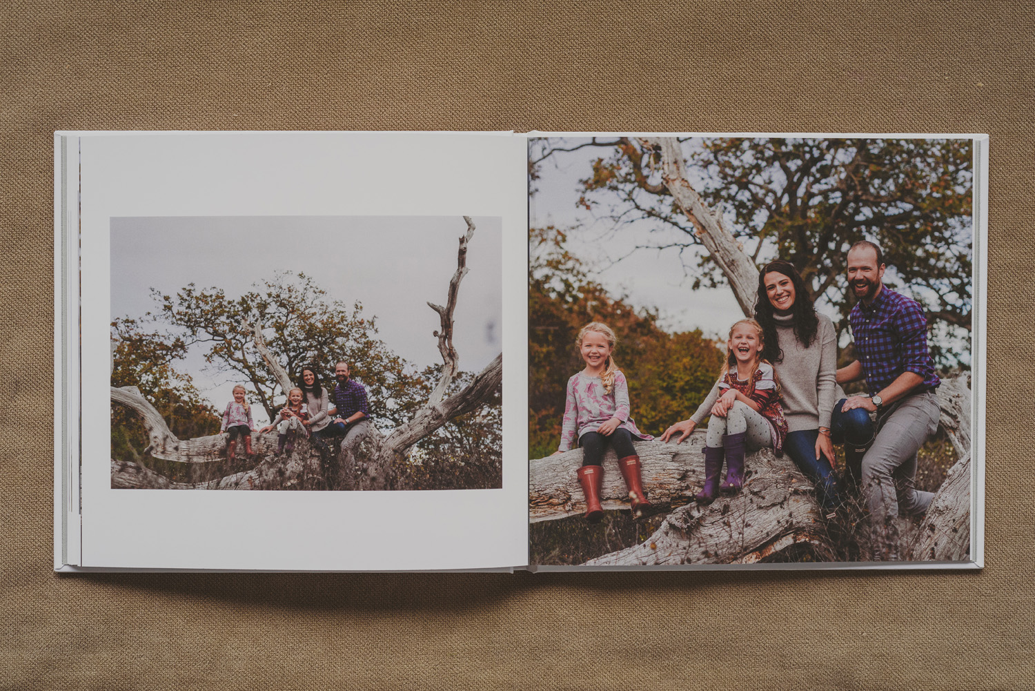 beautiful family photo book-family photo all happy in a tree