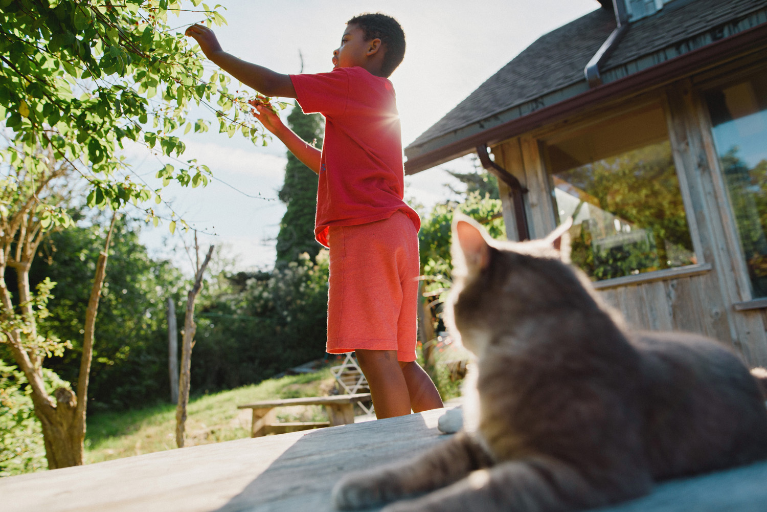 hornby island lifestyle family photographer