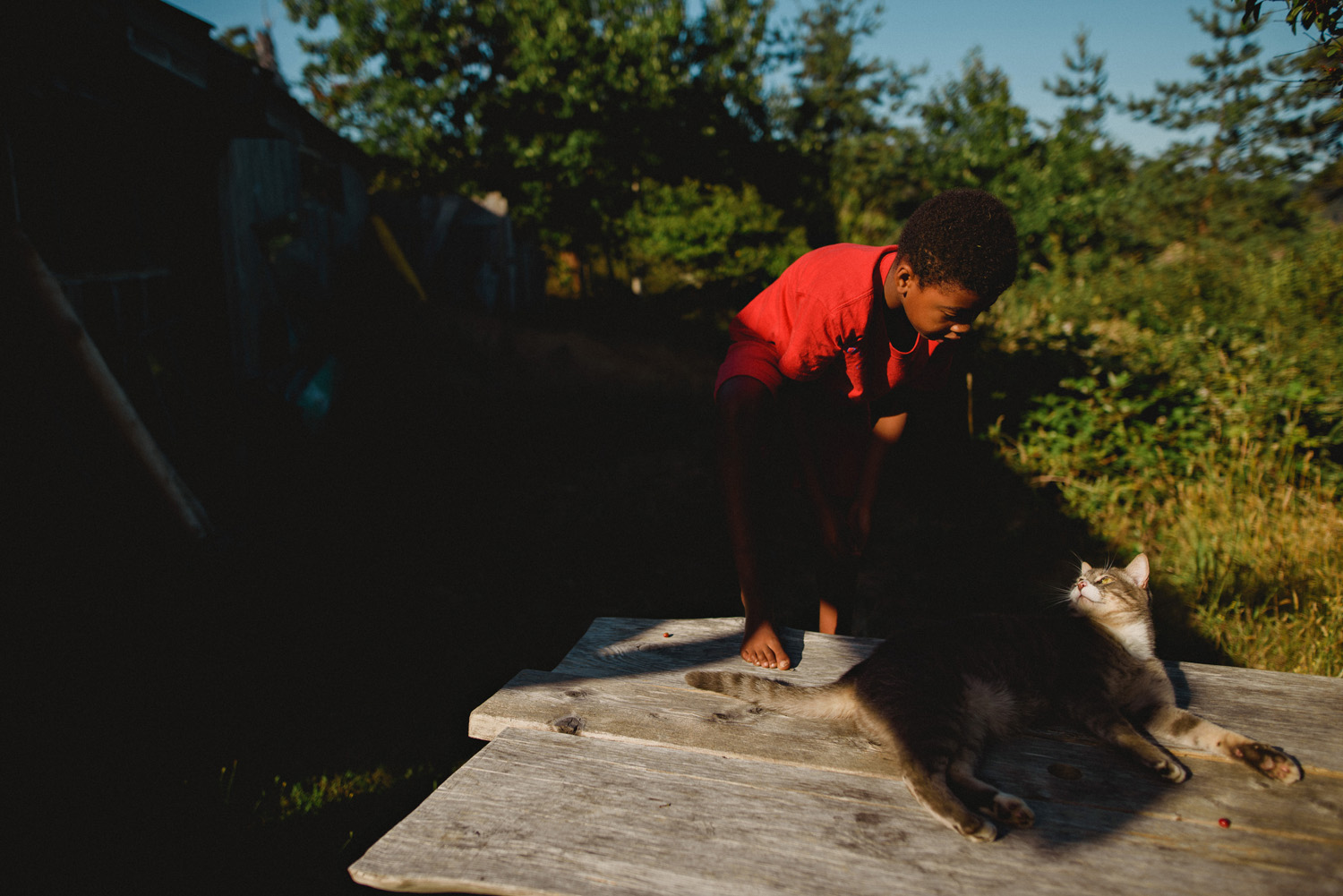 hornby island lifestyle family photographer