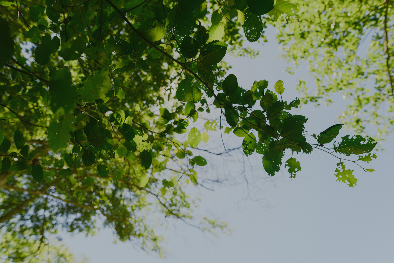 gulf island rustic farm wedding