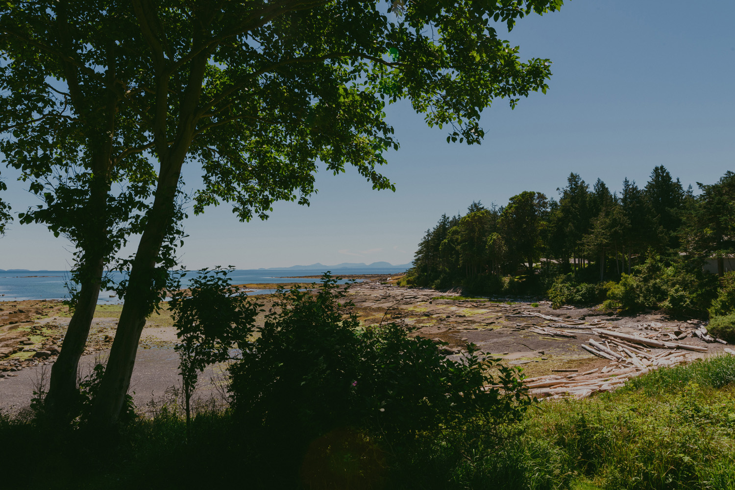 gulf island rustic farm wedding