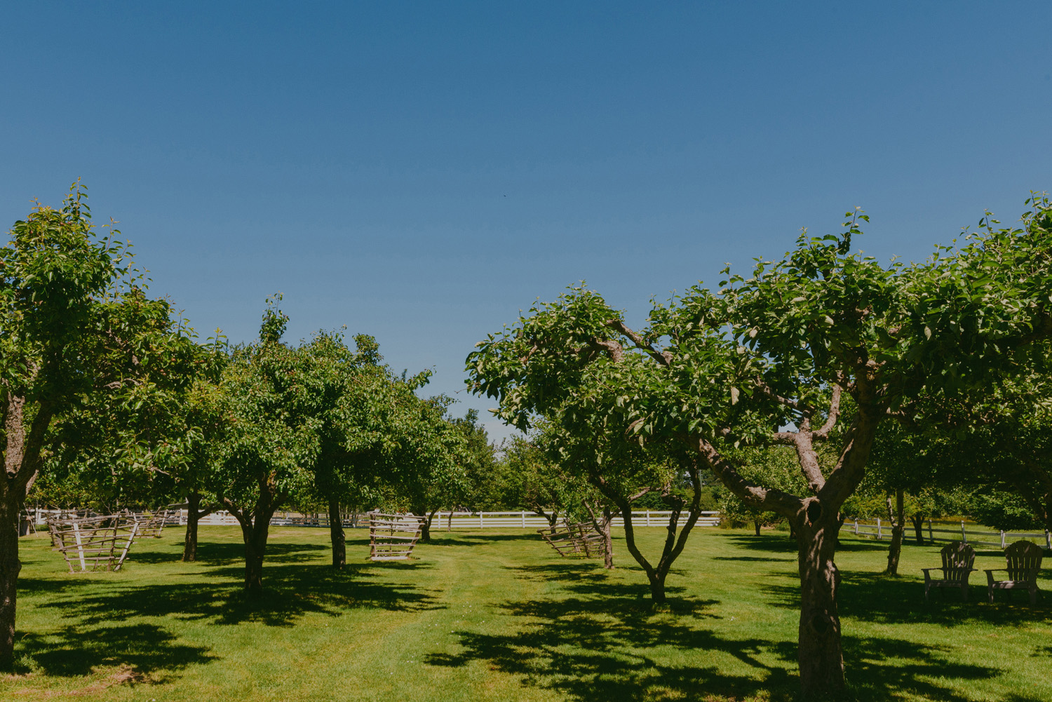 gulf island rustic farm wedding