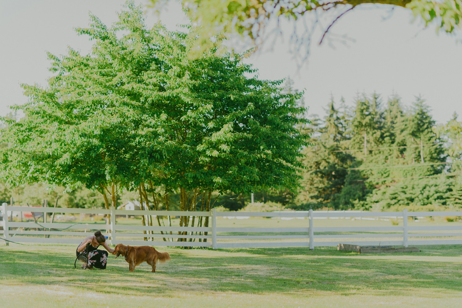 gulf island rustic farm wedding