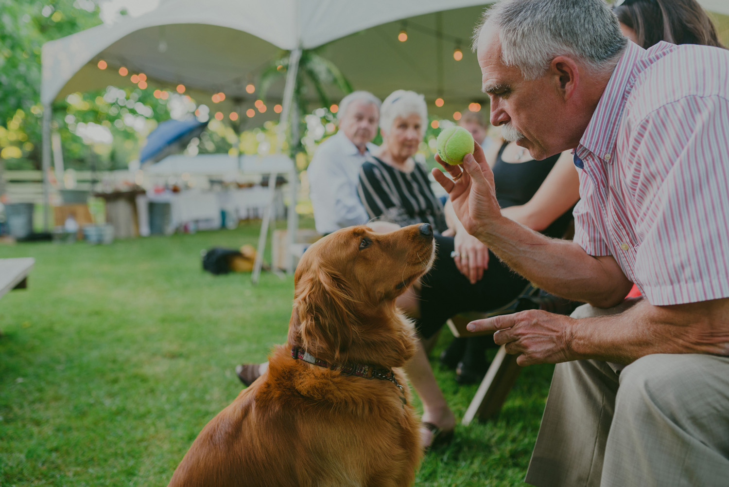 gulf island rustic farm wedding