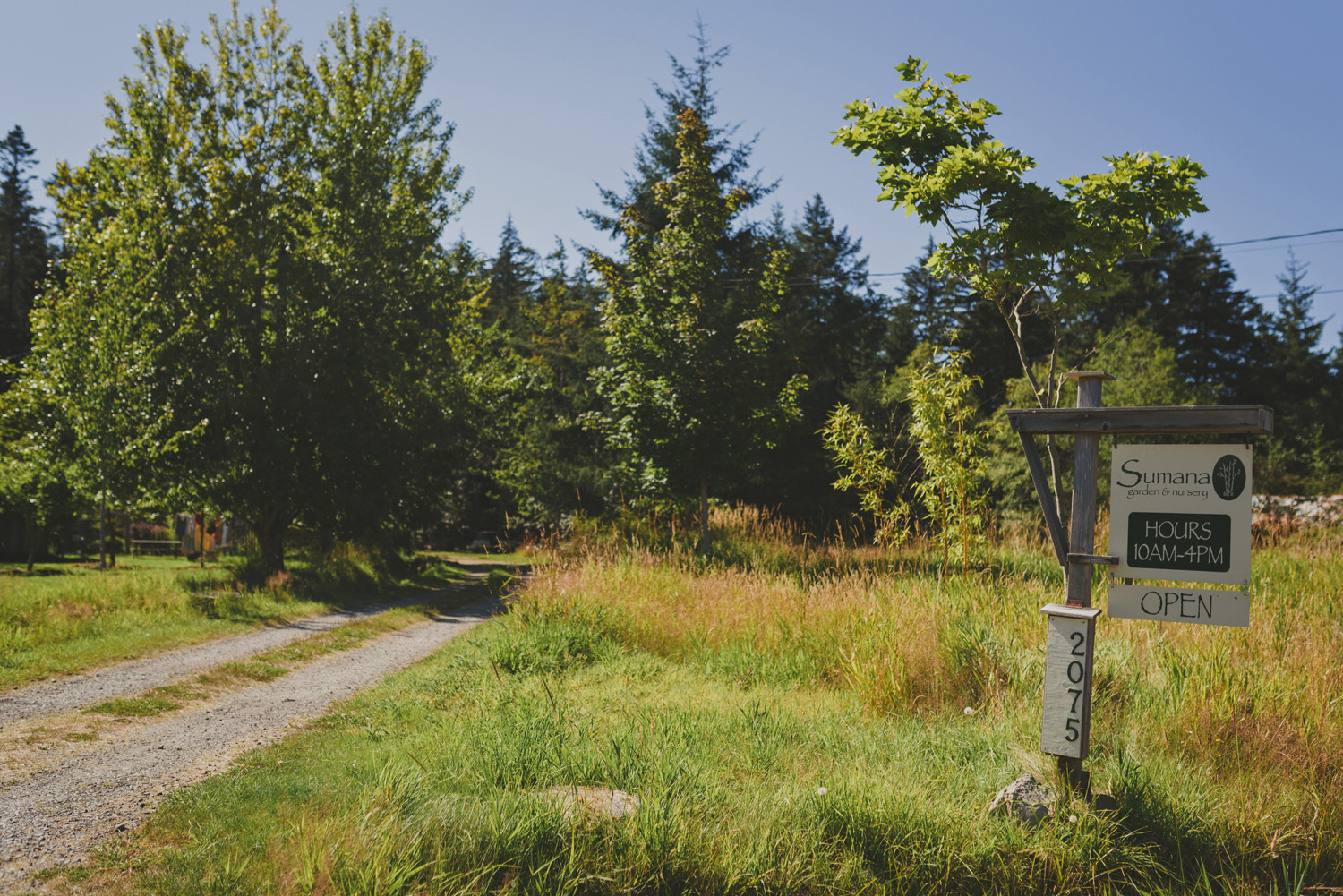 hornby island elopement