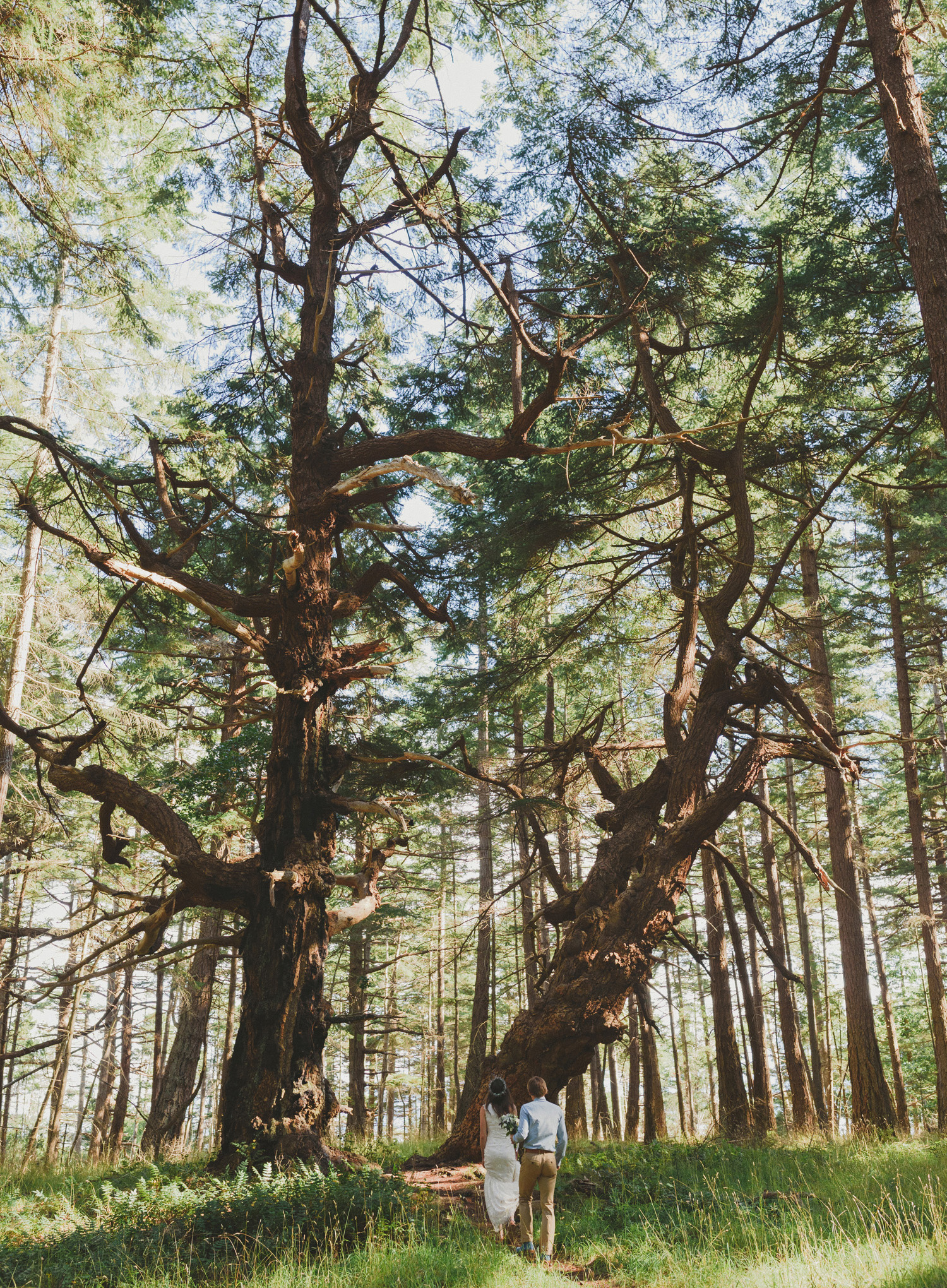 hornby island elopement